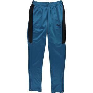 Puma Mens Speed Athletic Track Pants, Blue, S, DM